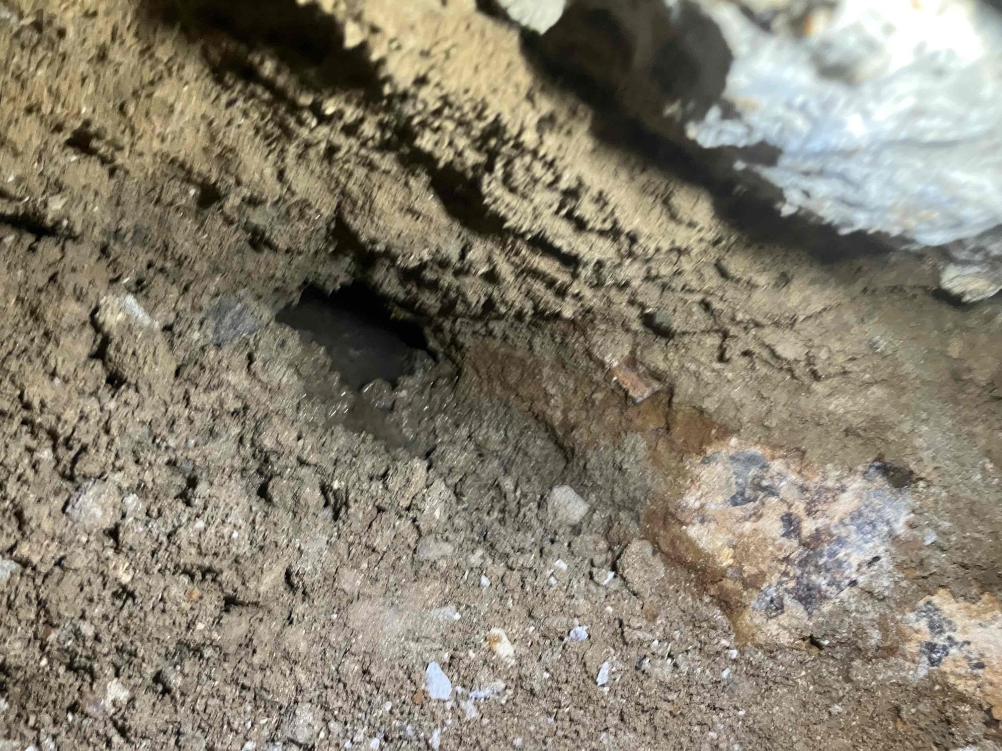 Desmond Marshall, Jesus Pacheco, Taylor Kreutz