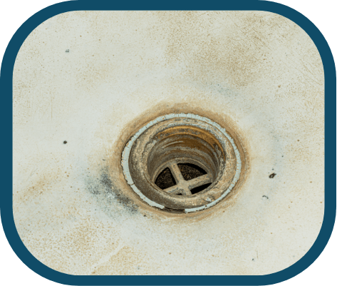 Drain Cleaning Services in Littleton