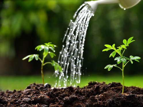Swelling Soils and Your Plumbing