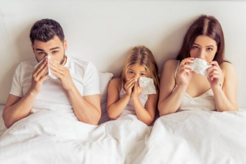 How to Choose the Right Whole-Home Humidifier for Denver’s Dry Winter Air