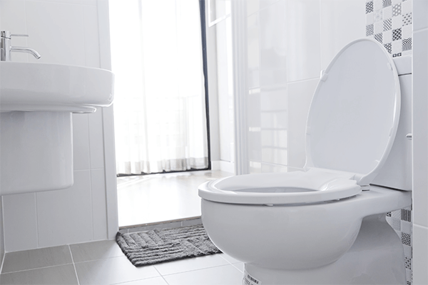 Traditional Toilet Paper Alternatives
