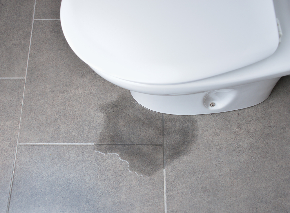 Why Does My Toilet Leak from the Base After Flushing